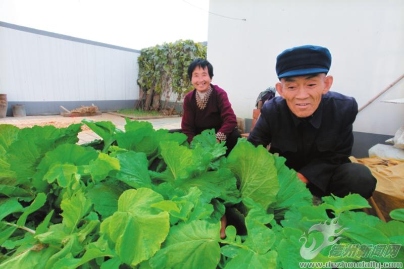 30余萬(wàn)農(nóng)民實(shí)現(xiàn)家門(mén)口就業(yè)，農(nóng)民年人均純收入達(dá)10850元