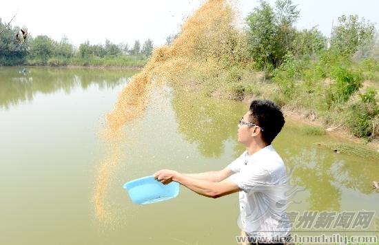 用有機(jī)飼料喂魚。